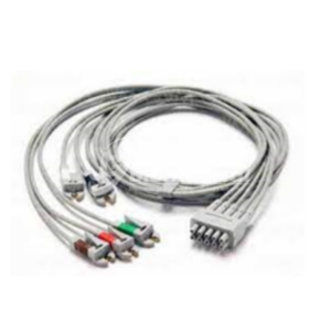 Cable Ramal 05 ECG 412682-005